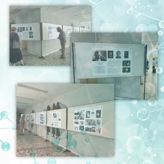 2-Hqe12.jpg
